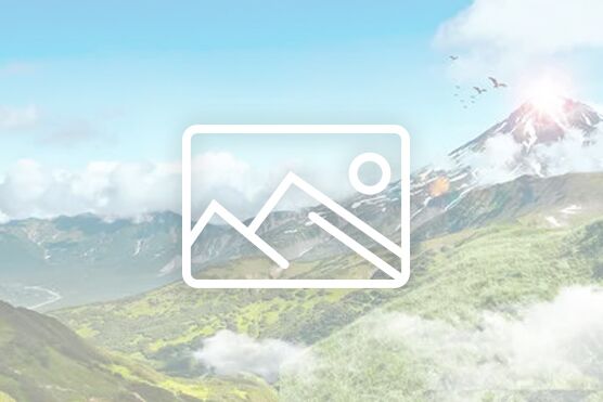 完美体育教师节慰问信